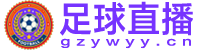 足球直播